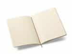 Custom Moleskine Soft Cover Ruled X-Large Notebook - Black - 2